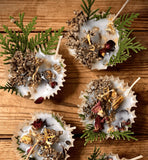 Bonfire Starters, Boxed Set of 4