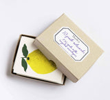 Fruit Note Cards, Box of 10