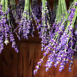 Lavender Package from the Sabbathday Lake Shakers