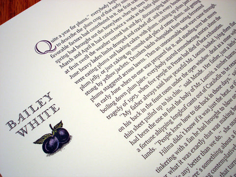A Bailey White Broadside