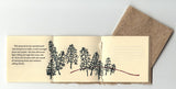 Woods Story by John Cutrone