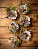 Bonfire Starters, Boxed Set of 4
