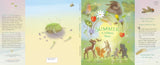 Summer: A Solstice Story, by Kelsey E. Gross & Renata Liwska
