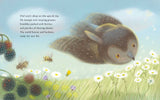 Summer: A Solstice Story, by Kelsey E. Gross & Renata Liwska