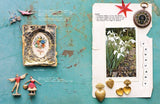 A Curiosity of Folklore, Magic and Spells, by Sam McKechnie & Alexandrine Portelli