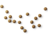 Lakrids by Bülow: Danish Chocolate Coated Licorice