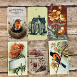 Silk Ribbon & Gift Card Set: Autumn Orange with Bird & Flower Tags