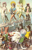 Postcard: Cats on Fashion Runway