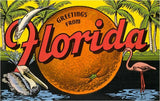 Postcard: Greetings from Florida (with a Big Orange)