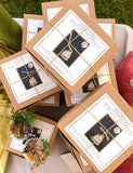 Bonfire Starters, Boxed Set of 4