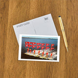 Postcard: Happy Birthday, Water Skiers