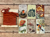 Silk Ribbon & Gift Card Set: Autumn Orange with Bird & Flower Tags
