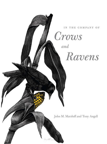 In the Company of Crows and Ravens, by John M. Marzluff & Tony Angell
