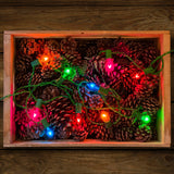 Tru-Tone Jeweltone Vintage Style Christmas Lights, C7 LED 10-Light Sets