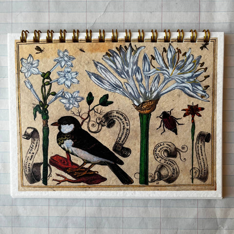 Bird & Flower Notebooks