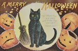 Vintage Hallowe'en Postcards in a Tin, Set of 12