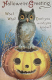 Vintage Hallowe'en Postcards in a Tin, Set of 12