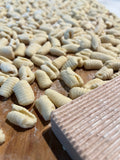 Make Ricotta Gnocchi with the Cutrone Family, August 15, 2026