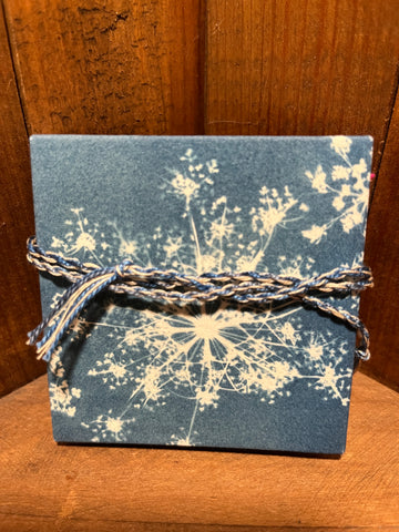 Cyanotype Accordion Book with Embroidery, Twelve Panel