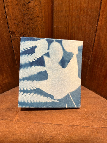 Cyanotype Accordion Flag Book, Fourteen Panel