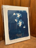 Cyanotype Cards (Individual)