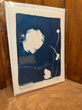 Cyanotype Cards (Individual)