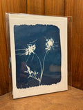 Cyanotype Cards (Individual)