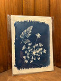 Cyanotype Cards (Individual)