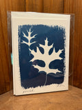 Cyanotype Cards (Individual)