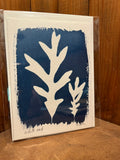 Cyanotype Cards (Individual)