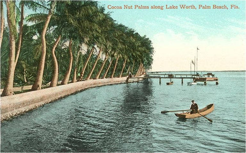 Postcard: Palms on Lake Worth, Palm Beach, Florida