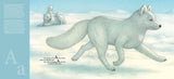 D is for Dala Horse: A Nordic Countries Alphabet, by Kathy-jo Wargin & Renée Graef