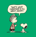 Charlie Brown's Christmas Stocking, by Charles M. Schulz