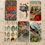 Silk Ribbon & Gift Card Set: Peacock Blue with Floral & Nature Tags