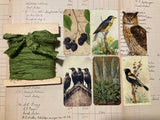 Silk Ribbon & Gift Card Set: Moss Green with Blackberry & Bird Tags