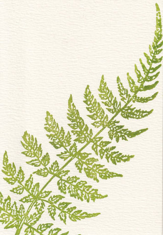 Letterpress Note Cards: Curve Fern