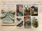 Silk Ribbon & Gift Card Set: Pale Blue with Floral & Nature Tags