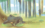 Summer: A Solstice Story, by Kelsey E. Gross & Renata Liwska