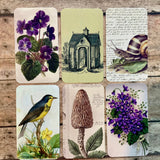 Silk Ribbon & Gift Card Set: Plum with Violets & Nature Tags