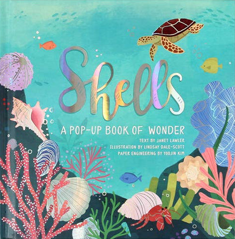 Shells: A Pop-Up Book Of Wonder