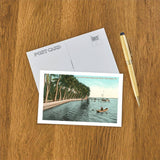 Postcard: Palms on Lake Worth, Palm Beach, Florida
