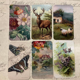 Silk Ribbon & Gift Card Set: Pale Blue with Floral & Nature Tags