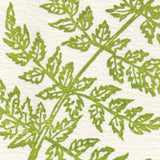 Letterpress Note Cards: Curve Fern
