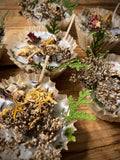 Bonfire Starters, Boxed Set of 4