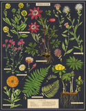 Vintage Puzzle: Herbarium 1000 pieces